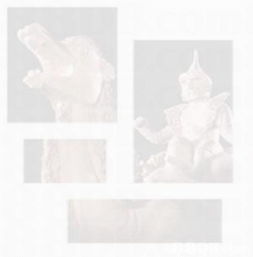 花艺初级班 如何避开摄影服务的干扰找到理想课程