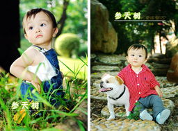 参天树498元儿童摄影返利提醒 本单消费返利20元